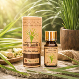 Tinh dầu sả java - Tinh dầu thơm xe