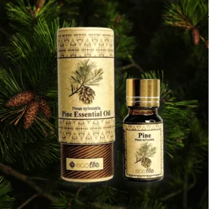 Tinh dầu thông - Tinh dầu nguyên chất mùi gỗ