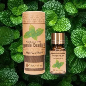 Tinh dầu bạc hà - Tinh dầu hữu cơ