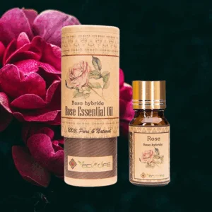Tinh dầu hoa hồng - Tinh dầu thư giãn