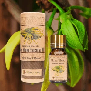 Tinh dầu ngọc lan - Tinh dầu nước hoa