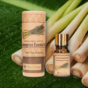 Tinh dầu sả chanh - Tinh dầu đuổi muỗi