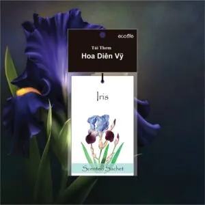 Túi thơm Iris - Túi thơm khử mùi hương hoa diên vỹ